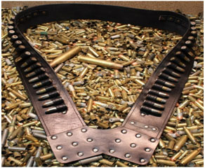 Cartridge Bandolier (25 Cartridge Loops)